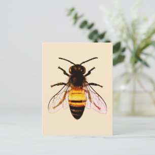 Carte Postale Illustration réaliste d'art de l'abeille à miel
