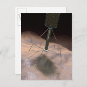 Carte Postale Illustration réaliste du bactériophage (Devant / Derrière)