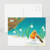 Carte Postale Illustration Red Robin & Early Spring Snowdrops (Devant / Derrière)