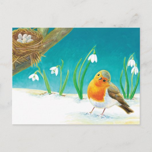 Carte Postale Illustration Red Robin & Early Spring Snowdrops (Devant)