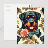 Carte Postale Illustration Retro Rottweiler (Devant / Derrière)