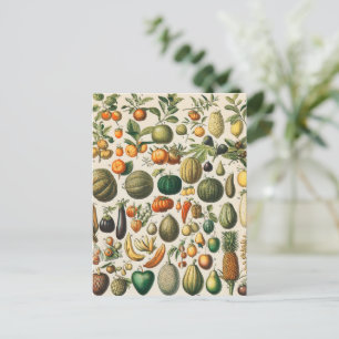 Carte Postale Illustration scientifique végétale des fruits