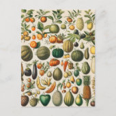 Carte Postale Illustration scientifique végétale des fruits (Devant)