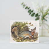 Carte postale Illustration vintage (Debout devant)