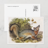 Carte postale Illustration vintage (Devant / Derrière)