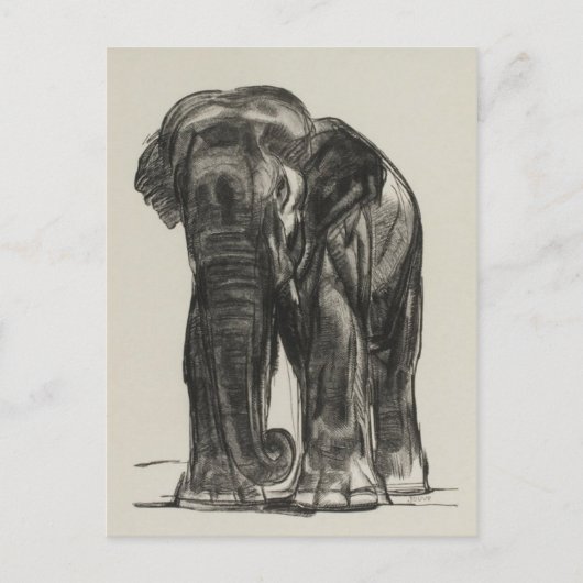 Carte postale Illustration vintage (Devant)