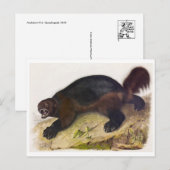 Carte postale Illustration vintage (Devant / Derrière)