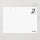 Carte postale Illustration vintage (Dos)