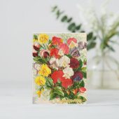 Carte Postale Illustration vintage (Debout devant)
