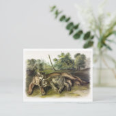 Carte postale Illustration vintage (Debout devant)