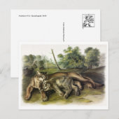 Carte postale Illustration vintage (Devant / Derrière)