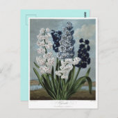 Carte Postale Illustration vintage (Devant / Derrière)