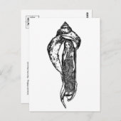 Carte postale Illustration vintage (Devant / Derrière)