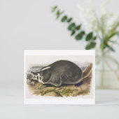 Carte postale Illustration vintage (Debout devant)