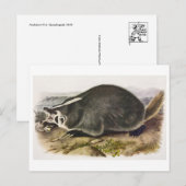 Carte postale Illustration vintage (Devant / Derrière)