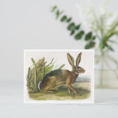 Carte postale Illustration vintage (Debout devant)