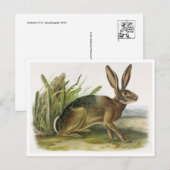 Carte postale Illustration vintage (Devant / Derrière)