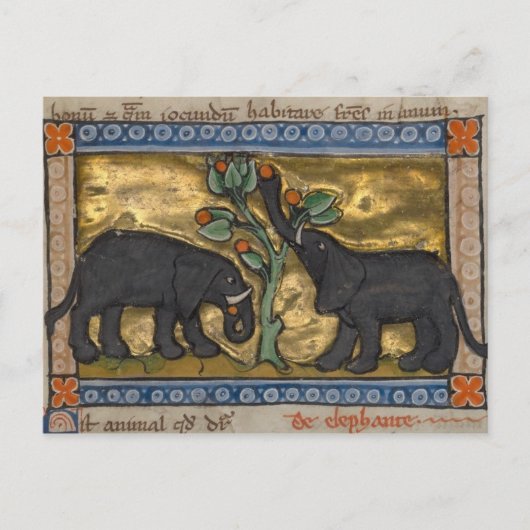 Carte postale Illustration vintage (Devant)