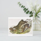 Carte postale Illustration vintage (Debout devant)