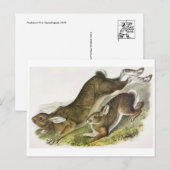 Carte postale Illustration vintage (Devant / Derrière)