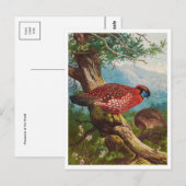 Carte postale Illustration vintage (Devant / Derrière)