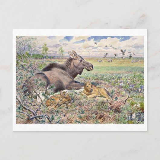 Carte postale Illustration vintage (Devant)