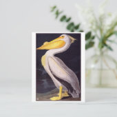 Carte postale Illustration vintage (Debout devant)