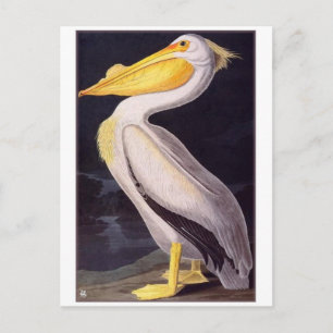 Carte postale Illustration vintage