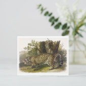 Carte postale Illustration vintage (Debout devant)