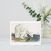 Carte postale Illustration vintage (Debout devant)