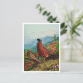 Carte postale Illustration vintage (Debout devant)