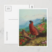 Carte postale Illustration vintage (Devant / Derrière)