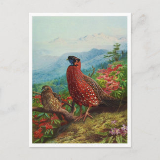 Carte postale Illustration vintage