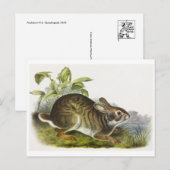 Carte postale Illustration vintage (Devant / Derrière)