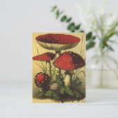 Carte postale Illustration vintage (Debout devant)