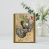 Carte postale Illustration vintage (Debout devant)