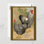 Carte postale Illustration vintage (Devant / Derrière)