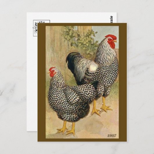 Carte postale Illustration vintage (Devant / Derrière)