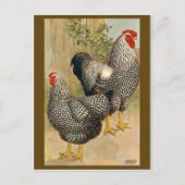 Carte postale Illustration vintage (Devant)