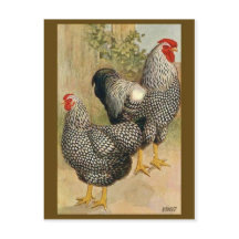 Carte postale Illustration vintage