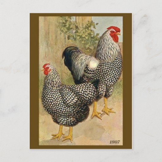 Carte postale Illustration vintage (Devant)