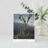 Carte Postale Illustration vintage (Debout devant)