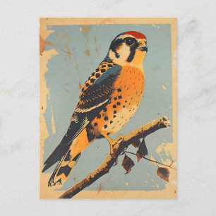 Carte Postale Illustration vintage américaine de Kestrel
