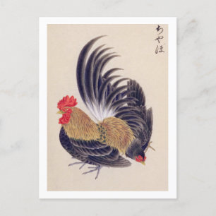 Carte Postale Illustration vintage : bantam japonais