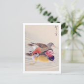 Carte Postale Illustration vintage : canard mandarin (Debout devant)