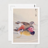 Carte Postale Illustration vintage : canard mandarin (Devant / Derrière)