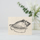 Carte Postale Illustration Vintage Conch Shell (Debout devant)