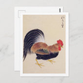 Carte Postale Illustration vintage : Coq (Devant / Derrière)