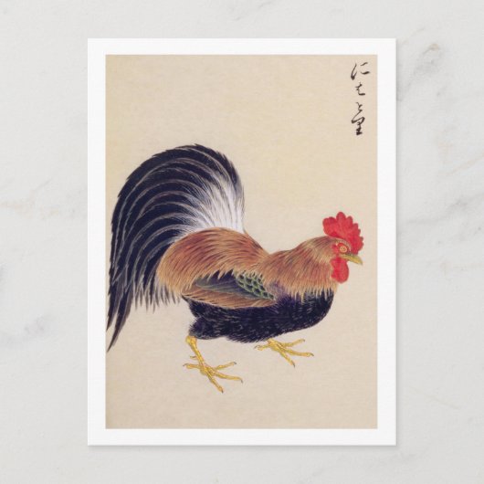 Carte Postale Illustration vintage : Coq (Devant)
