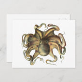 Carte postale Illustration Vintage d'animaux de po (Devant / Derrière)